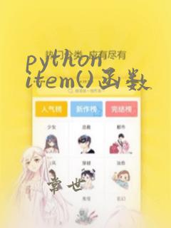 python item()函数