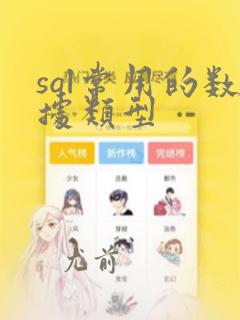 sql常用的数据类型