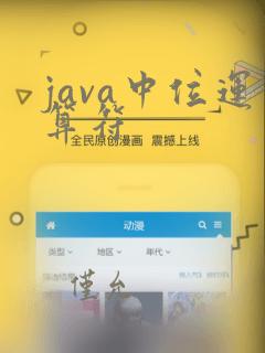 java中位运算符