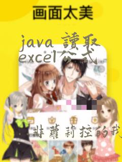 java 读取excel公式