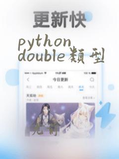 python double类型