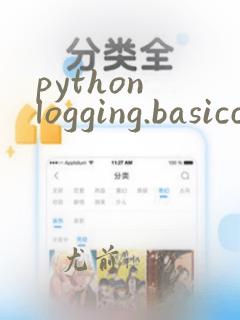 python logging.basicconfig