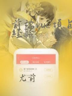 前端vue项目经验