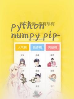 python numpy pip