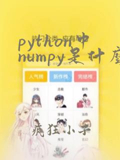 python中numpy是什么