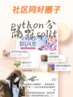 python分隔符split