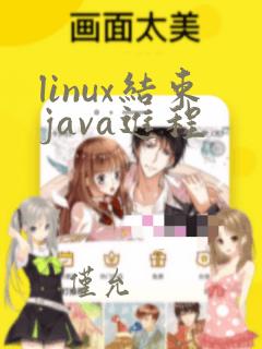 linux结束java进程