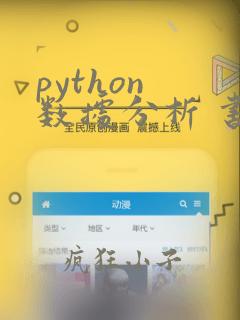 python 数据分析 书籍
