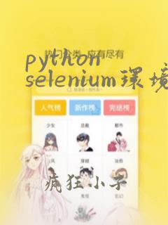 python selenium环境搭建