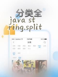 java string.split