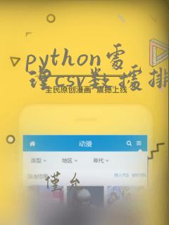 python处理csv数据排序