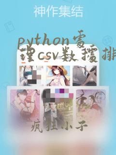 python处理csv数据排序