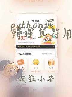 python逻辑运算符用法