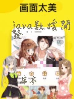 java数据开发