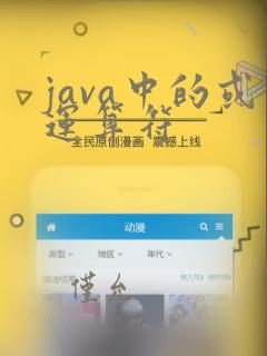 java中的或运算符
