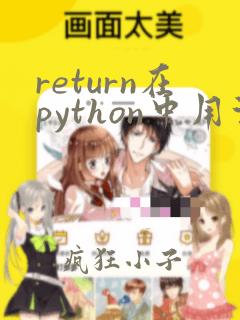 return在python中用法举例