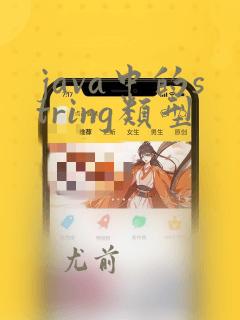java中的string类型