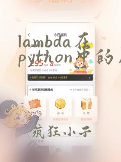lambda在python中的用法