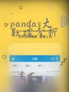 pandas大数据分析