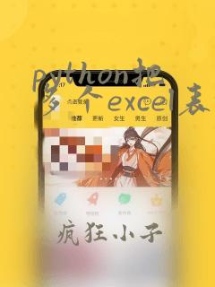 python把多个excel表格放在同一页中