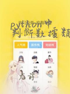 python中判断数据类型