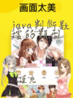 java判断数据的类型
