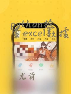 python检查excel数据