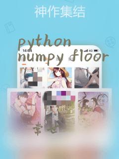python numpy floor