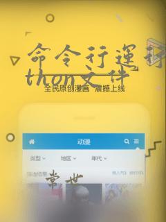 命令行运行python文件