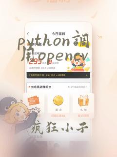 python调用opencv