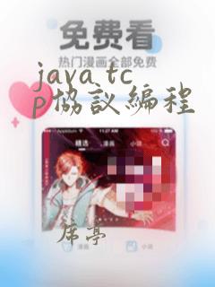 java tcp协议编程