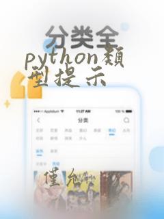 python类型提示
