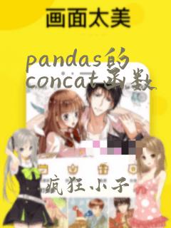 pandas的concat函数