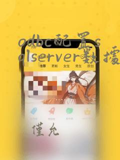 odbc配置sqlserver数据源