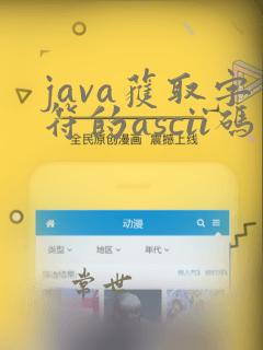 java获取字符的ascii码