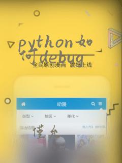 python如何debug