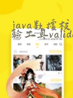 java数据校验工具validation
