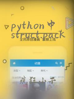 python中struct.pack