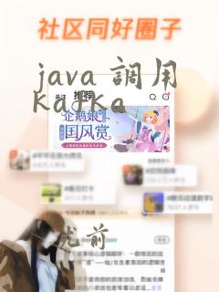 java 调用kafka