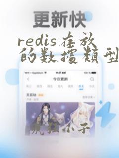 redis存放的数据类型