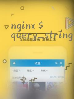 nginx $query_string