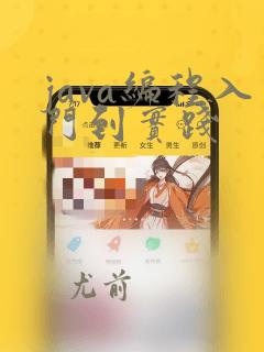 java编程入门到实践