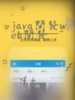 java开发web开发