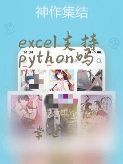 excel支持python吗