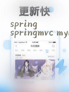 spring springmvc mybatis框架技术精讲
