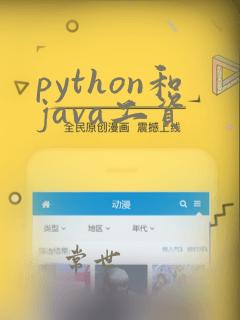 python和java工资