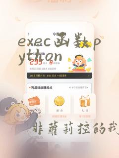 exec函数python