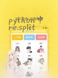 python中re.split