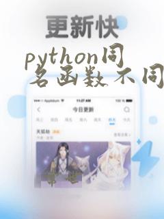 python同名函数不同参数