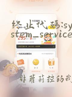 终止代码:system_service_exception
